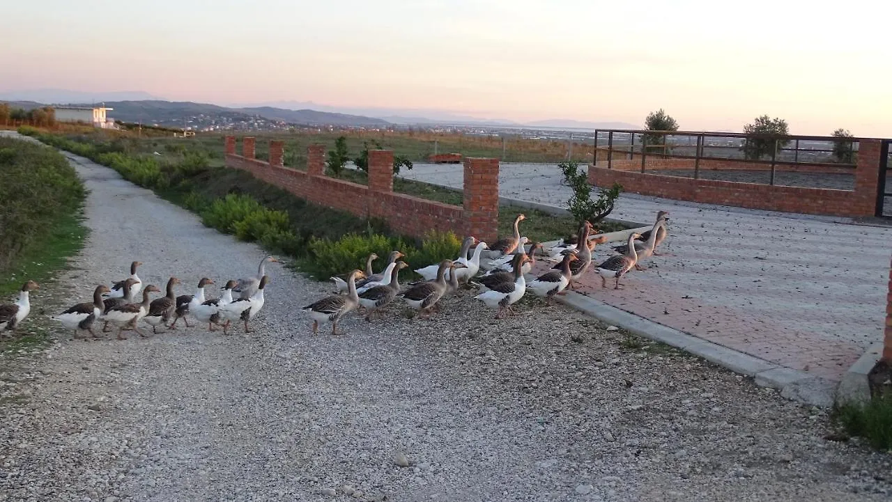 Pepe D'Oro Bio Resort Bashtove Albania