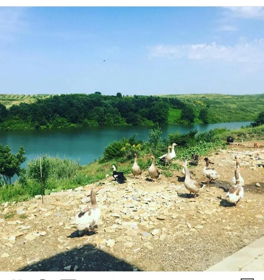 Pepedoro Bio Resort Bashtove 0*,