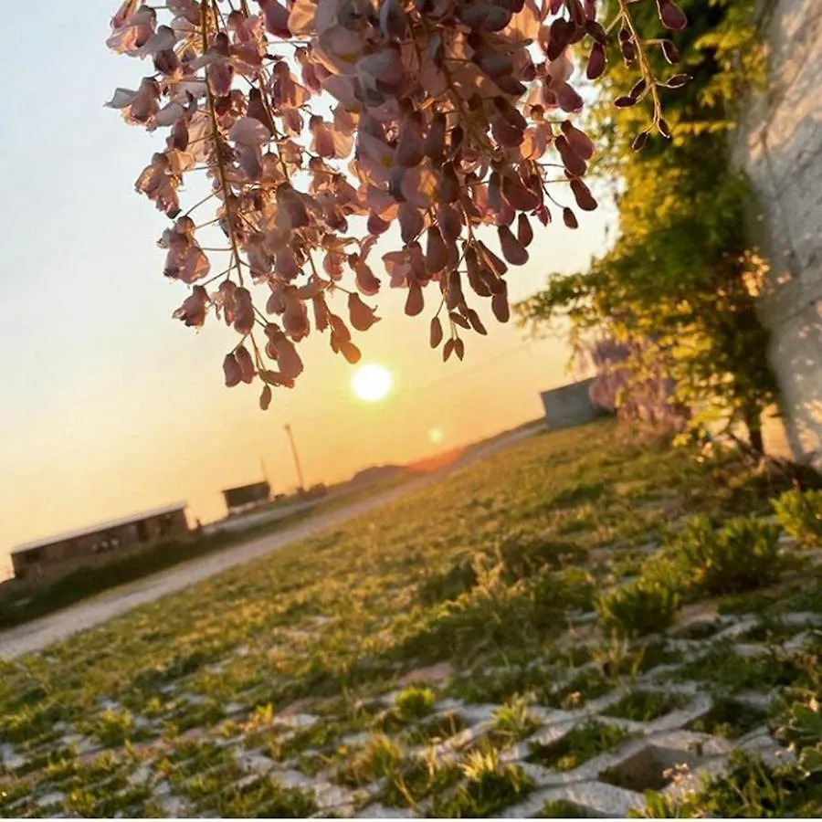 Pepedoro Bio Resort Bashtove Albania